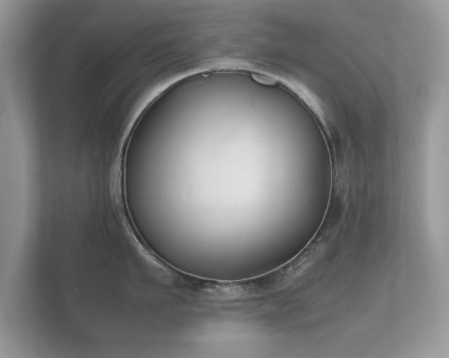 X0000112150911200908141212