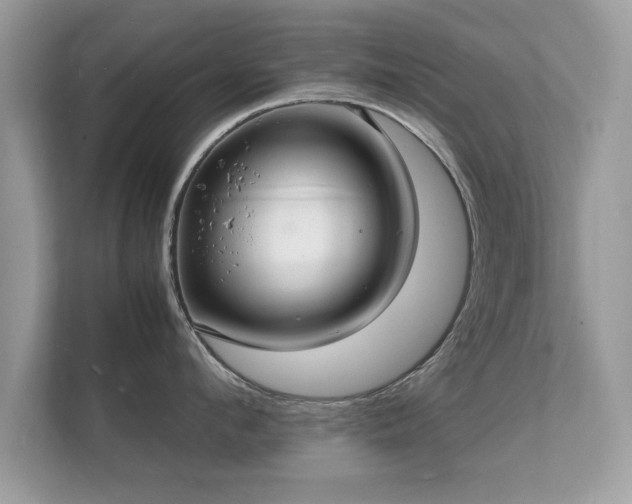 X0000112150912200908141212