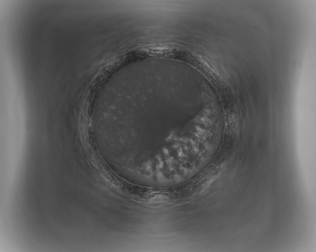 X0000112150913200908141211