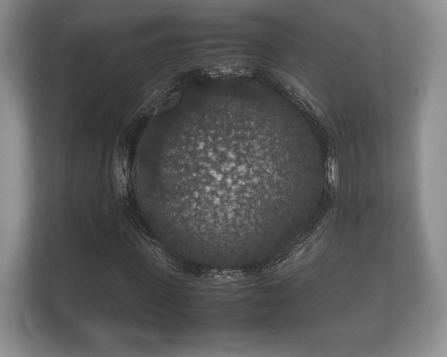 X0000112150915200908141211