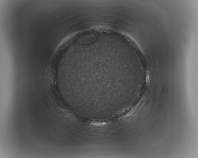 X0000112150919200908141211