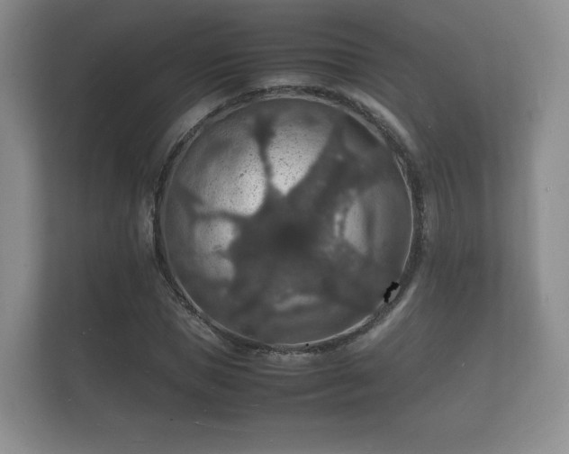 X0000112150921200908141211