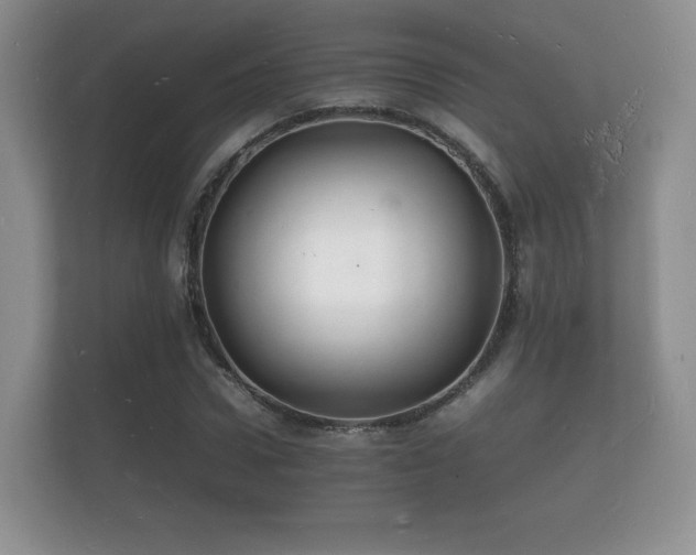 X0000112150922200908141211