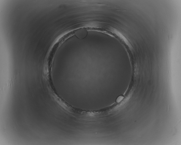X0000112150923200908141211