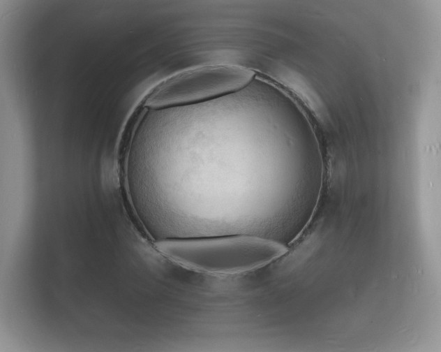X0000112150924200908141211