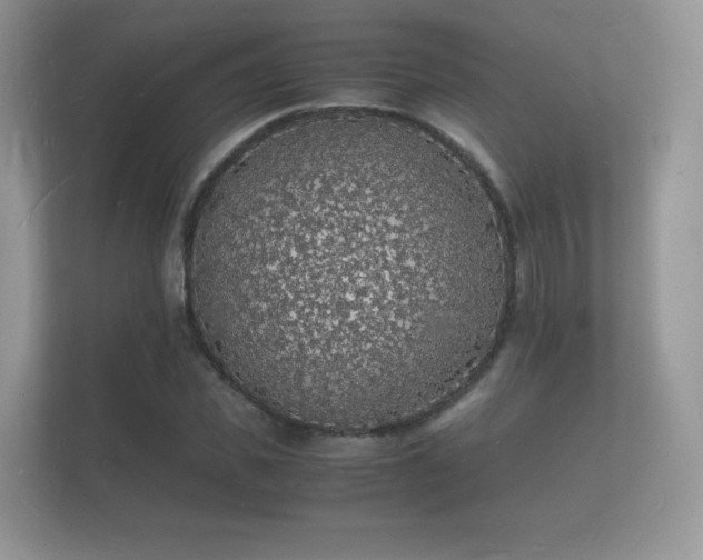 X0000112150925200908141211