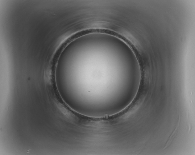 X0000112150926200908141211