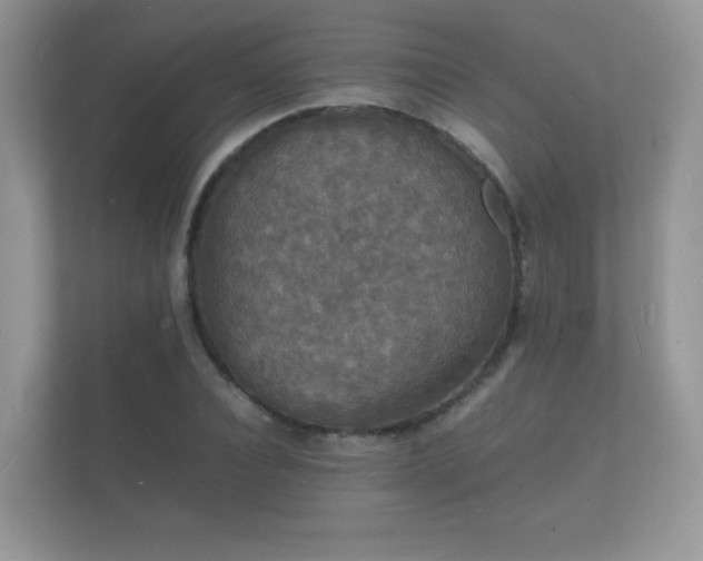 X0000112150928200908141211