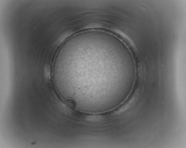 X0000112150929200908141211