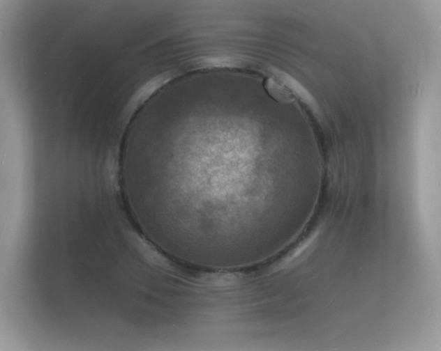 X0000112150930200908141211