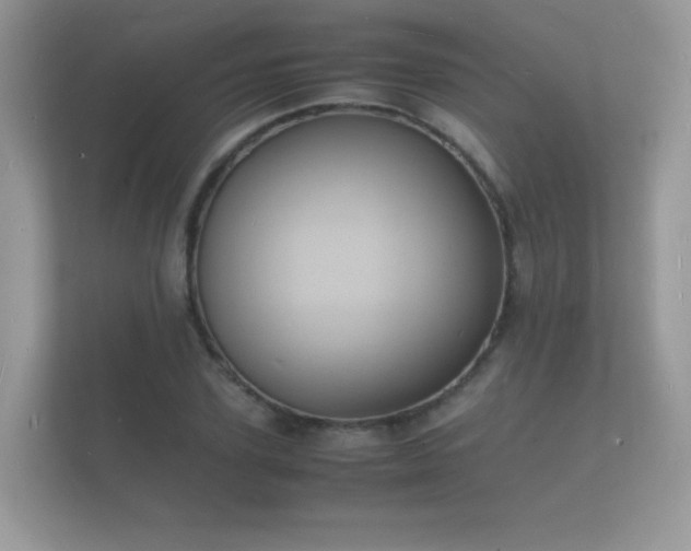 X0000112150931200908141211
