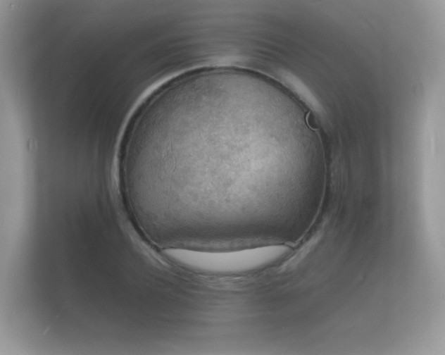 X0000112150932200908141211