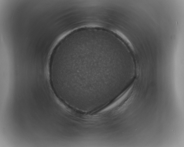 X0000112150935200908141211