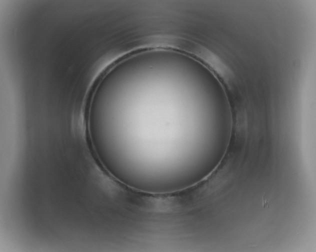 X0000112150936200908141212