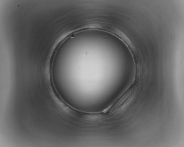 X0000112150939200908141212