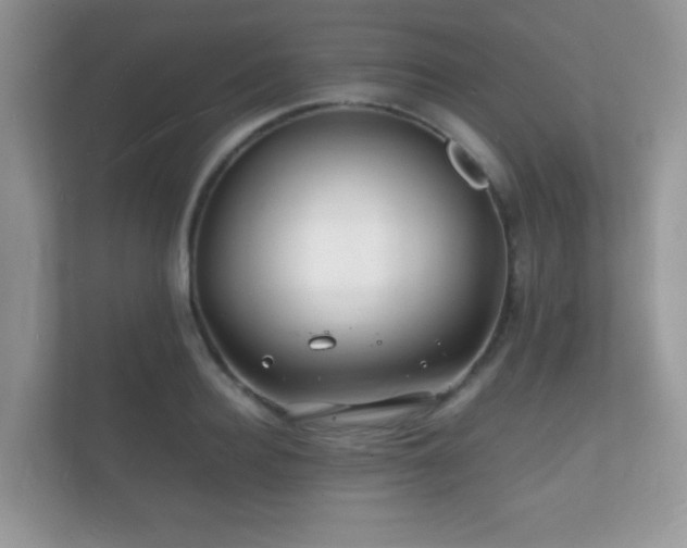 X0000112150940200908141212