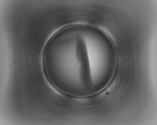 X0000112150941200908141212