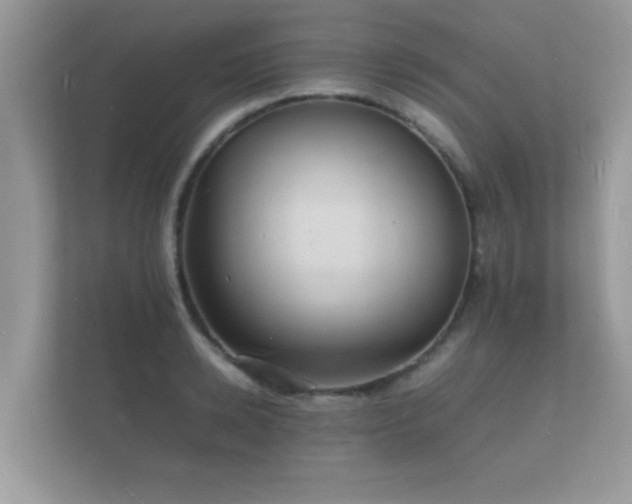 X0000112150942200908141212