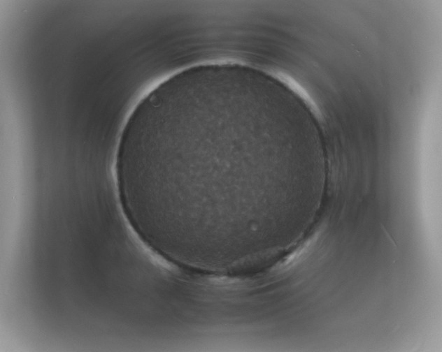 X0000112150943200908141212