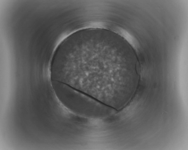 X0000112150944200908141212