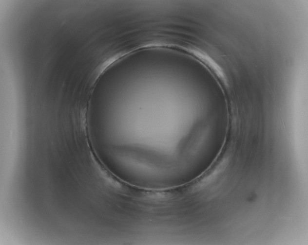 X0000112150945200908141212