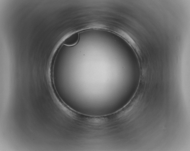 X0000112150947200908141212