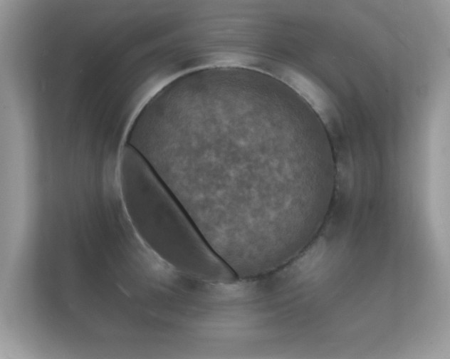 X0000112150948200908141212