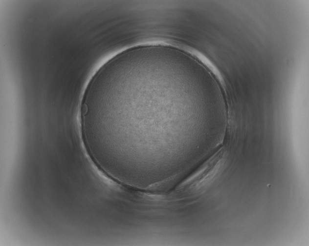 X0000112150951200908141212