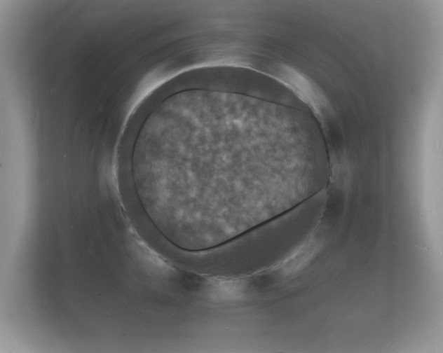 X0000112150952200908141212