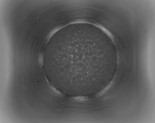 X0000112150953200908141212
