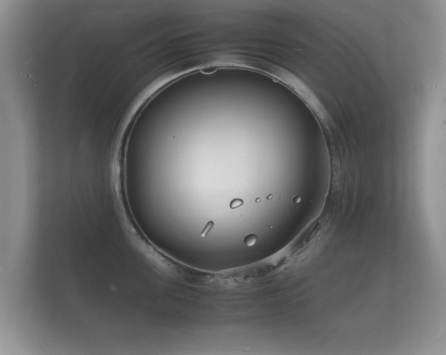 X0000112150955200908141212