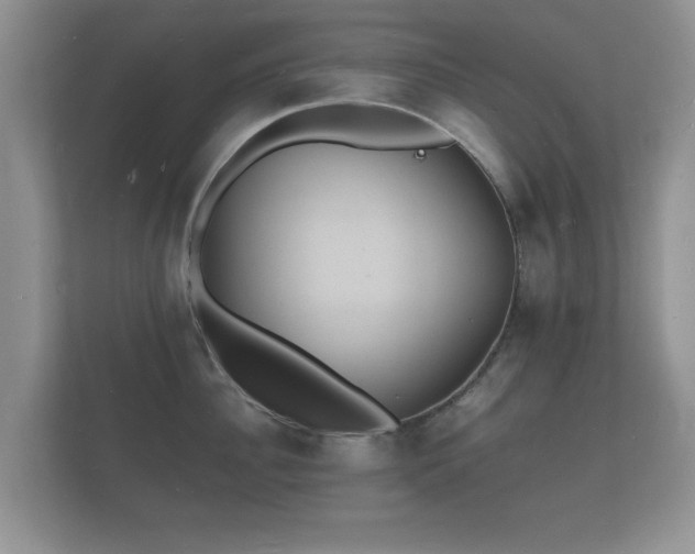 X0000112150956200908141212