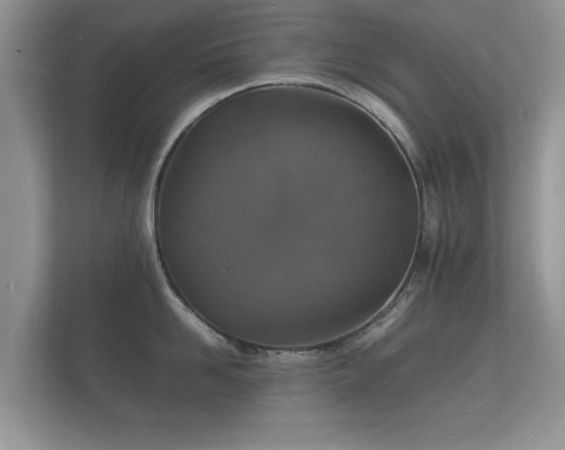X0000112150958200908141212