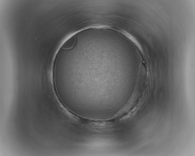 X0000112150959200908141212