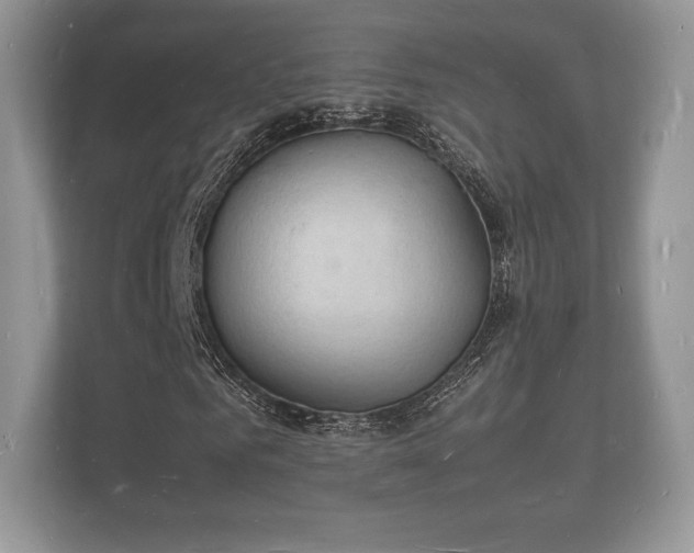 X0000112150961200908141211