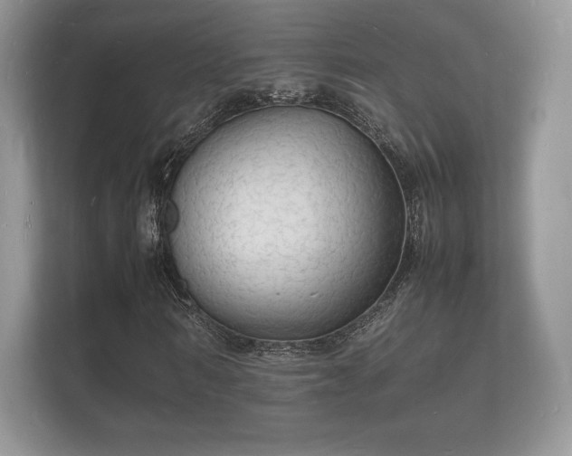 X0000112150962200908141211