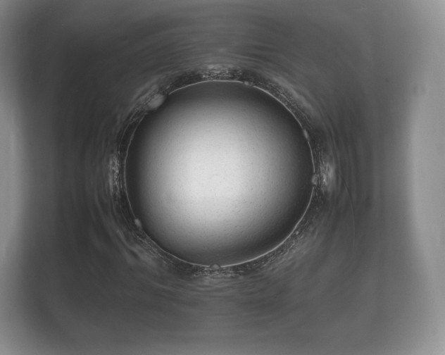 X0000112150964200908141211
