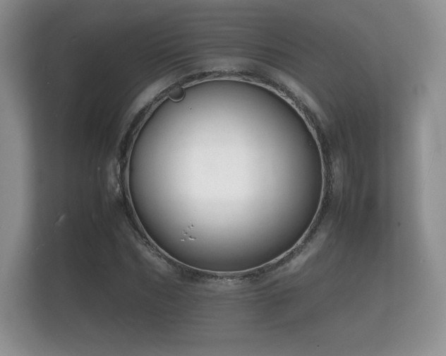 X0000112150970200908141211