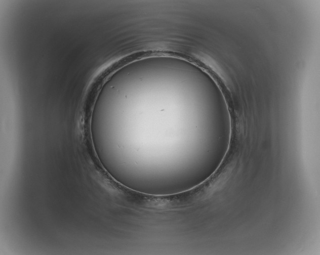 X0000112150971200908141211