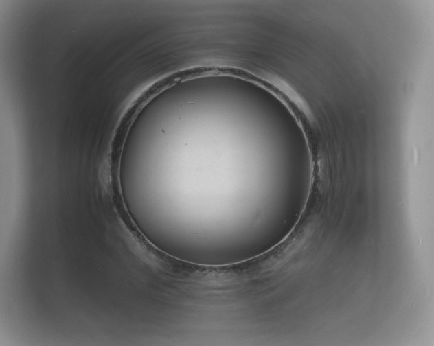 X0000112150972200908141211