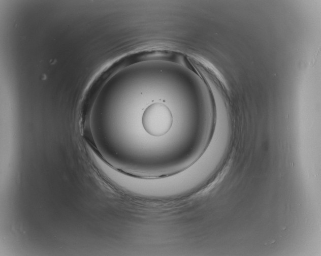 X0000112150973200908141211