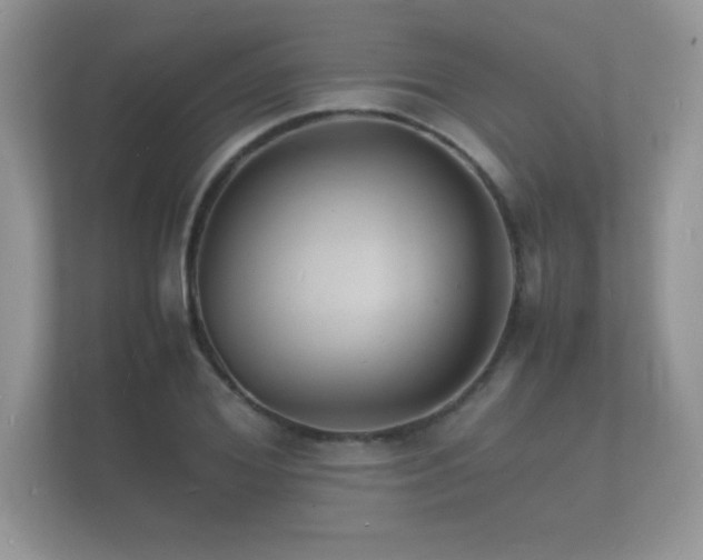 X0000112150980200908141211