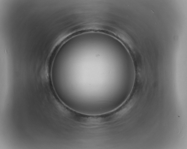 X0000112150981200908141211