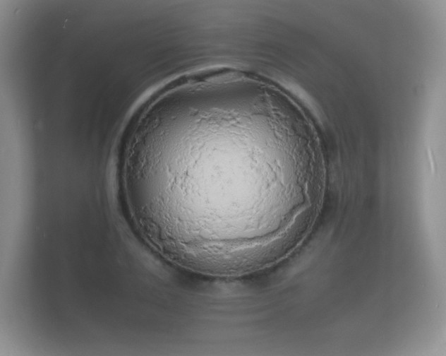 X0000112150983200908141211
