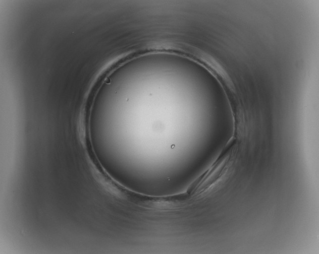 X0000112150984200908141211