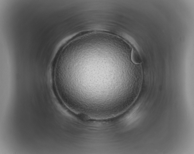 X0000112150987200908141211