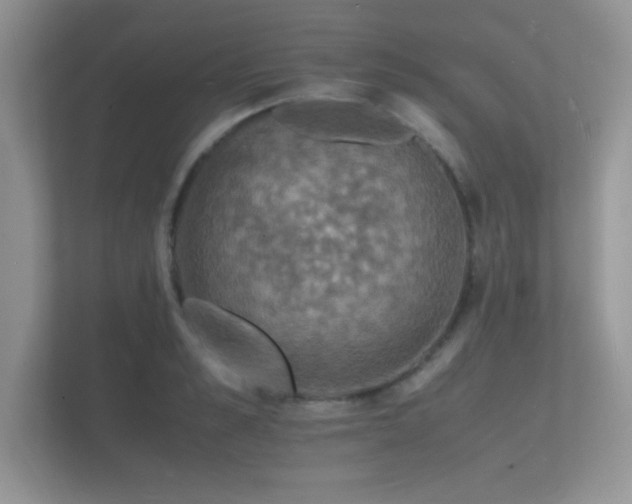 X0000112150989200908141211