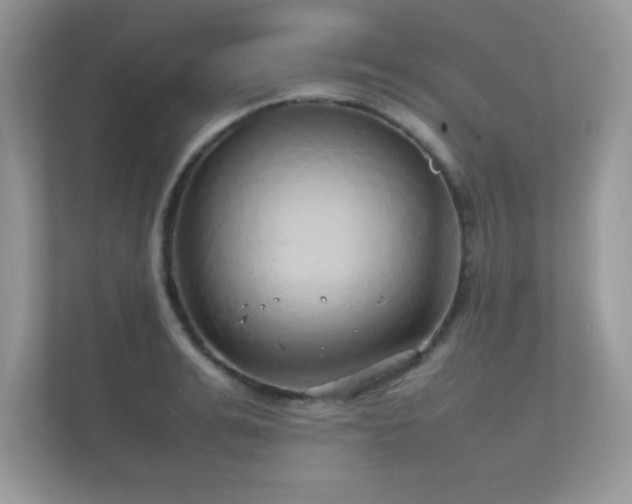 X0000112150991200908141211