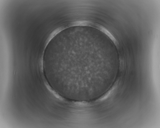 X0000112150994200908141211