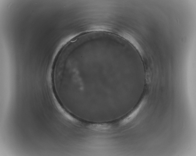 X0000112150995200908141211